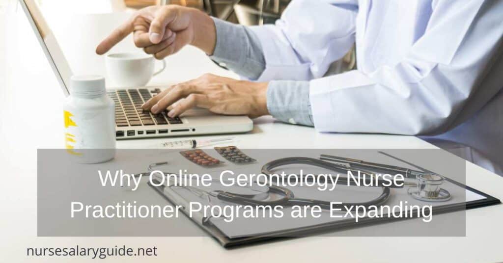 Gerontology Nurse Practitioner
